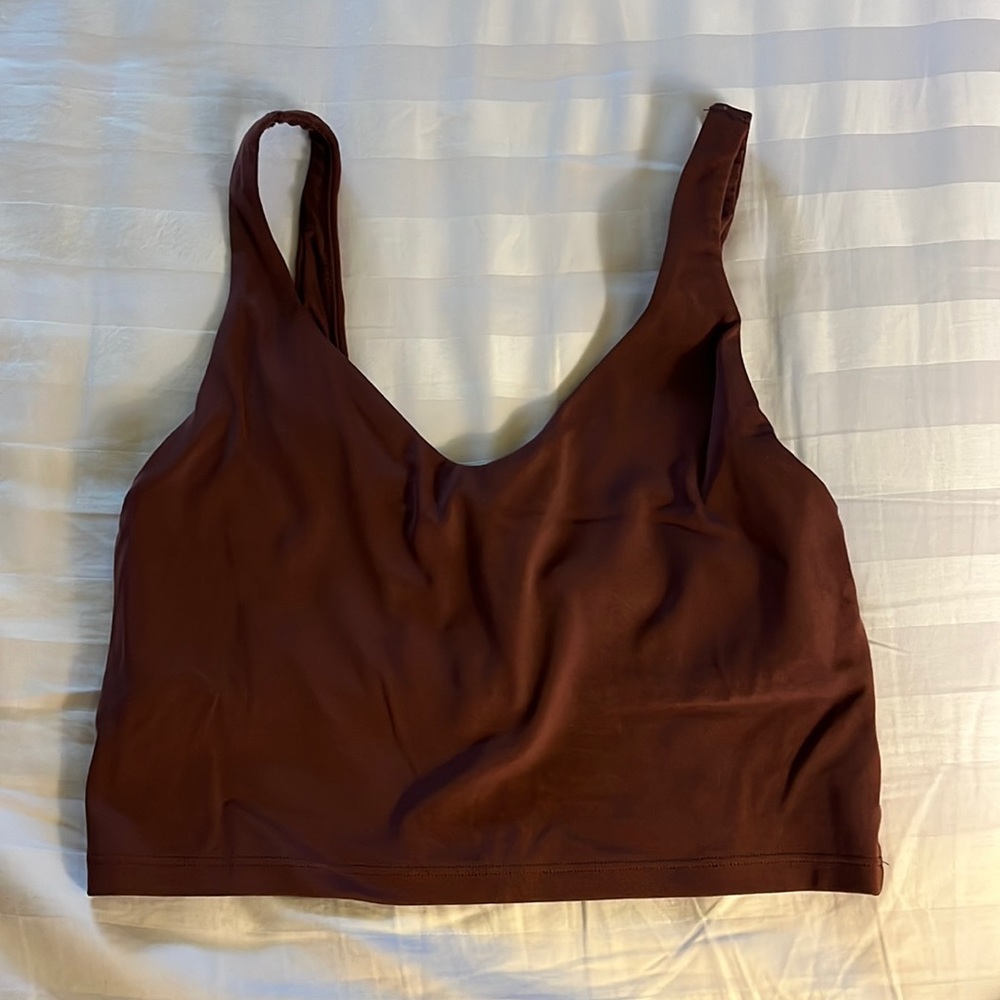 Aerie Cropped Bra Tank Top